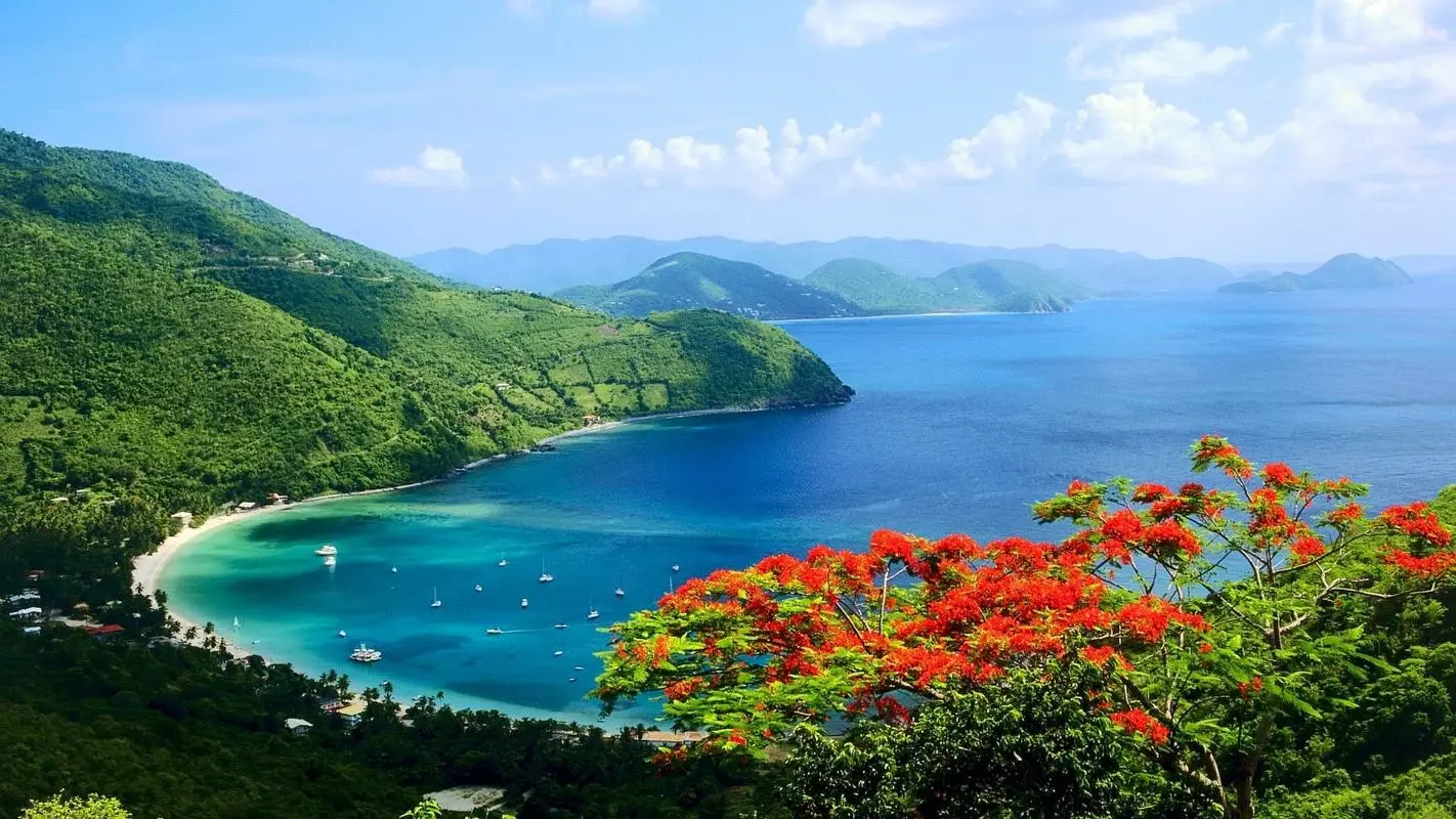 稳定性精密